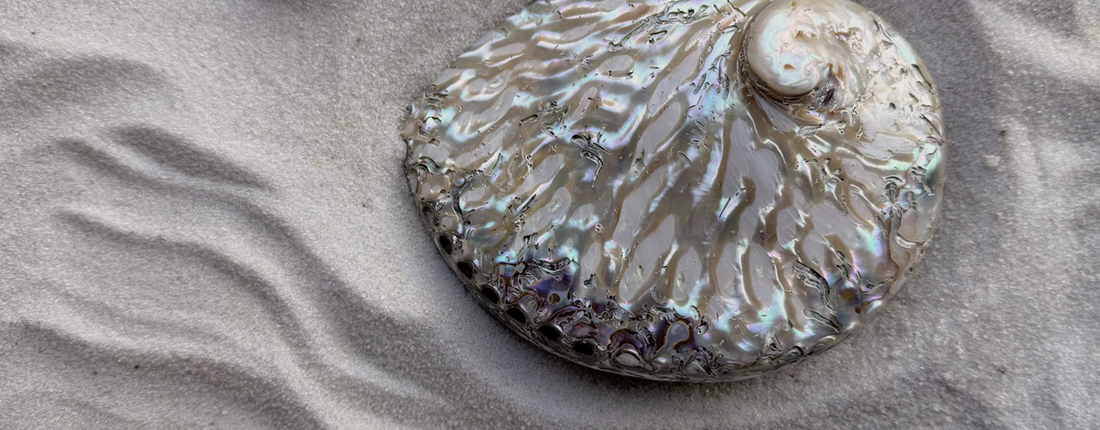 Waterproof Jewelry for Summer: Durable, Sweat-Proof Style That Moves With You